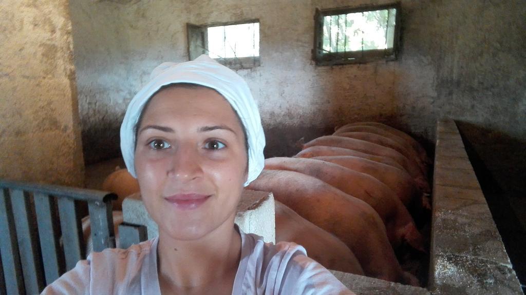 Вілла Agriturismo La Vecchia Cascina Di Paolo & Belinda П'єтрельчина Екстер'єр фото